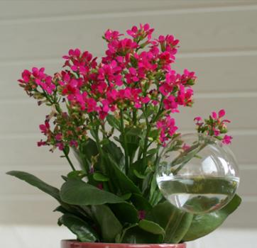 Preview: 06bd56789_5