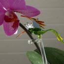 Orchideenstab Blumenstab aus Glas Vogel